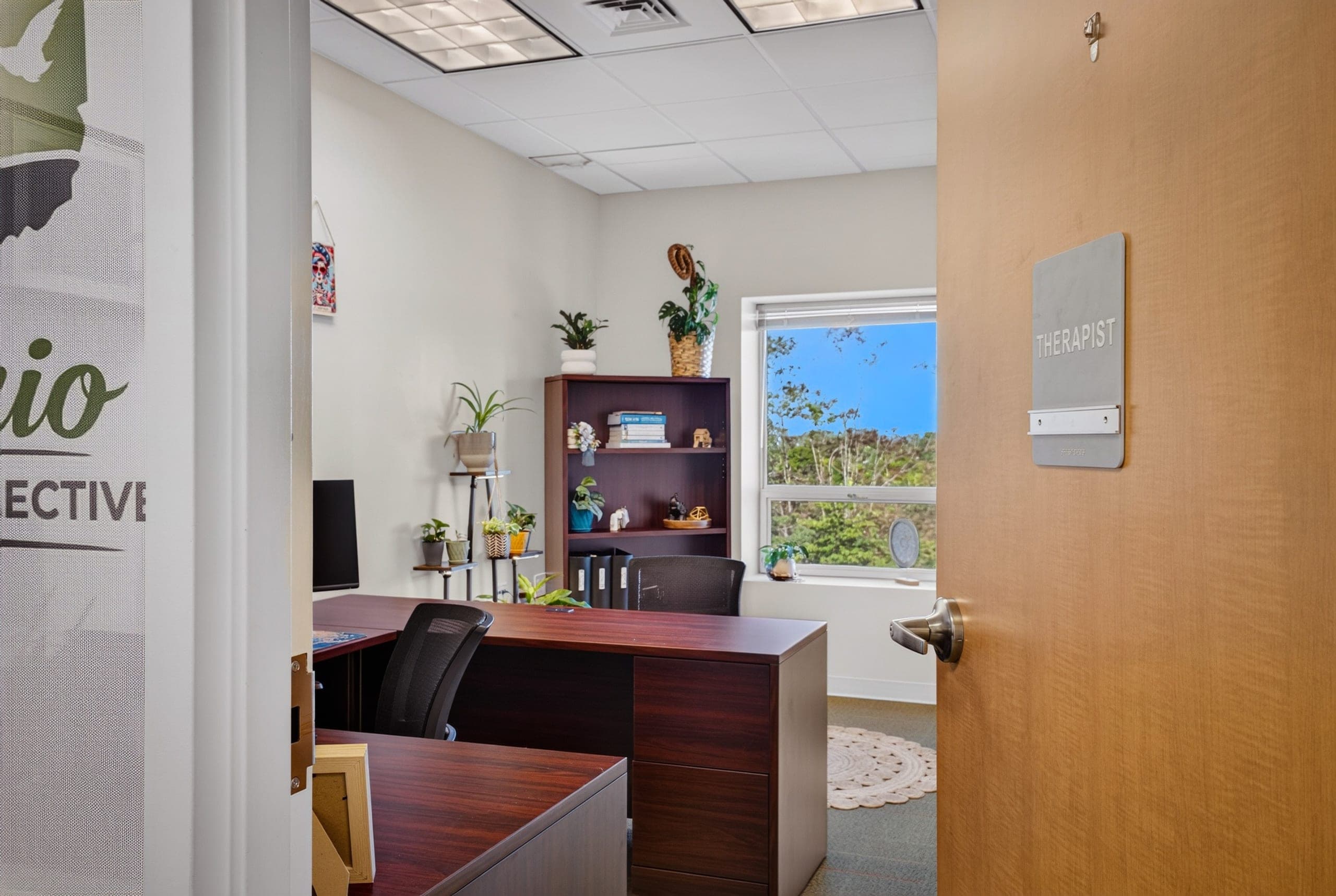 A therapist’s office, seen through the open door, with a desk, plants and a window
