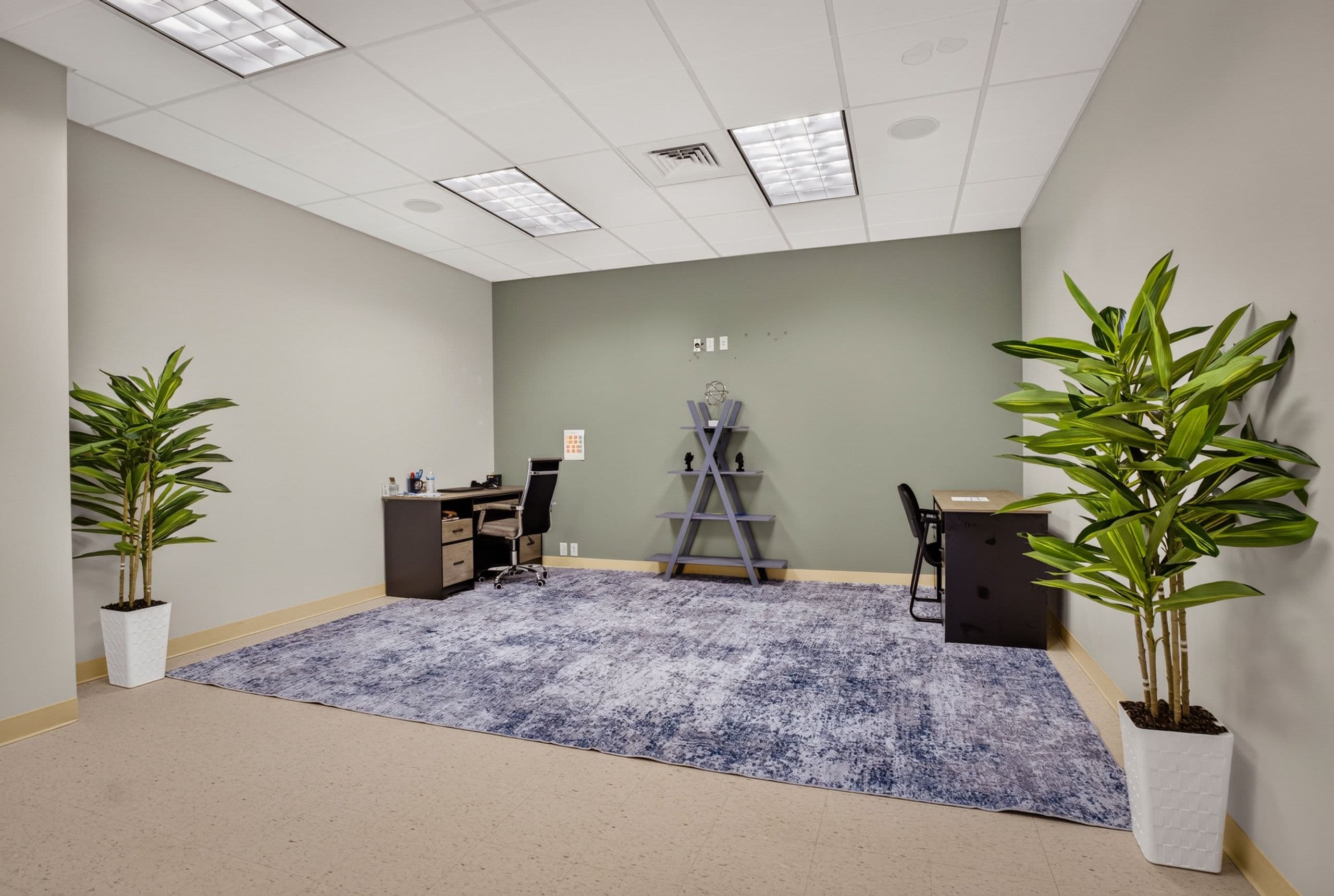 An open room with a rug, potted plants and a desk at the far end